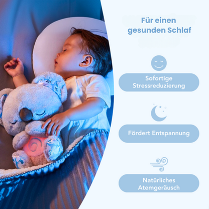 Der Schlummer Koala