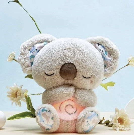 Der Schlummer Koala